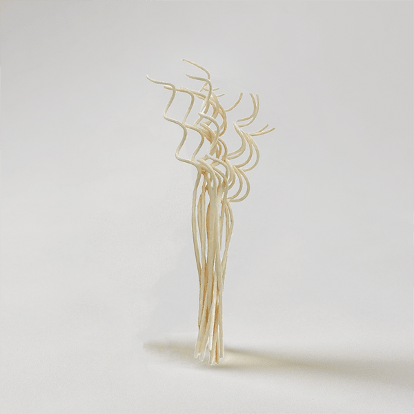 Extra Reeds – Replacement Diffuser Reed Sticks