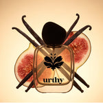Holiday Fragrances — Vanilla Open — by Urthy